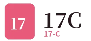17C 品牌标识